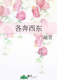 深度交流,尽在红烧茄子做法